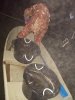 DSCN5122.JPG