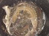 DSCN5108.JPG