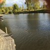IMG_0684.jpg