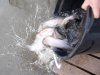 DSCN5166.JPG