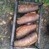 IMG_20160924_143557.jpg
