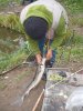 DSCN5206.JPG
