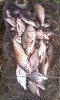 IMG_20160924_163216.jpg