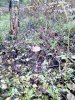 IMG_20160924_103415.jpg