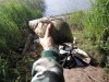mamHM48cgqA.jpg