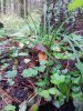 20160924_105809.jpg