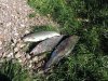 DSCN9438.jpg