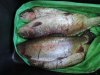 DSCN9455.jpg