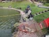 DSCN9542.jpg