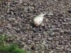 DSCN9573.jpg
