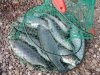 DSCN9578.jpg