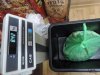 DSCN9670.jpg
