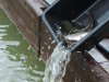 DSCN9826.jpg