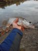 20161008153239.jpg