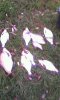 IMG_20161008_144724.jpg