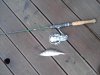 20161008_160306.jpg