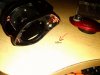 IMG_20161014_215522.jpg