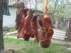 DSC03738.jpg