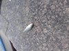 20161015_163609.jpg