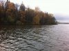 IMG_5016.jpg
