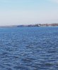 20161022_084419-1.jpg