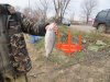 IMG_5923.JPG