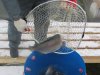 IMG_6148.JPG