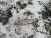IMG_6452.JPG