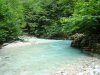 DSC02131.jpg