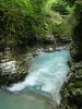 DSC02137.jpg