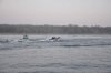 DSC_0203.jpg