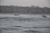 DSC_0206.jpg