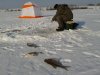 февраль 12 031.jpg февраль 12 031.jpg
