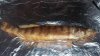 20161030_133128.jpg