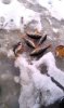 IMAG0884.jpg