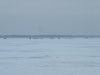 DSCF1278.JPG