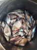 IMG-20161122-WA0033.jpg