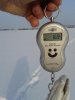 хотебцово 17.02.12. 012.jpg