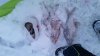 20161211_083954.jpg