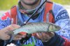 IMG_1188.jpg
