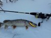 20161212_094059.jpg