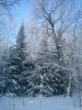 DSC00333.jpg