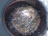 DSCN3347.JPG