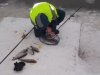 DSCN3364.JPG