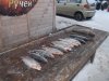 DSCN3383.JPG