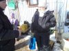 DSC06916.JPG