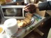 DSC06986.JPG