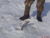 DSC07158.JPG