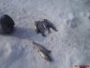 DSC07134.JPG