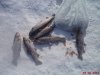 DSC07173.JPG